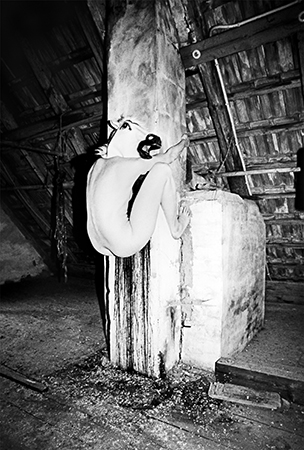 8_670_Schimmelreiterin