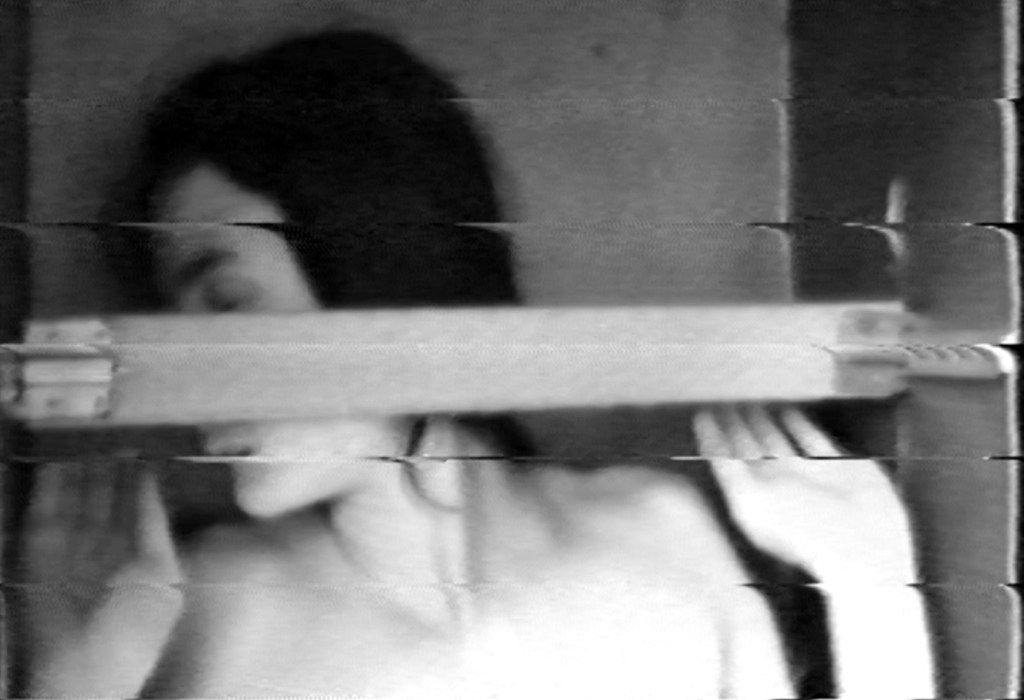 Aumueller_Invasion_still